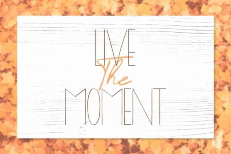 Timitty Sans & Script Font Duo