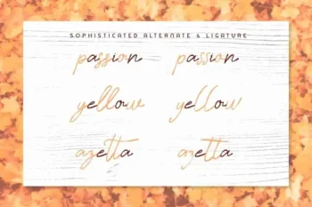 Timitty Sans & Script Font Duo