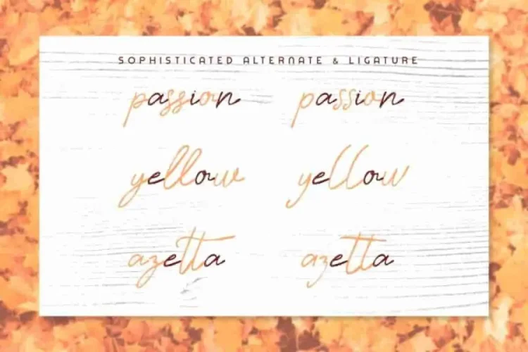 Timitty Sans & Script Font Duo