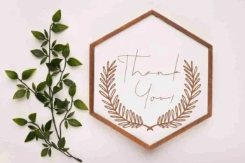 Bhalbino Handwriting Signature Font