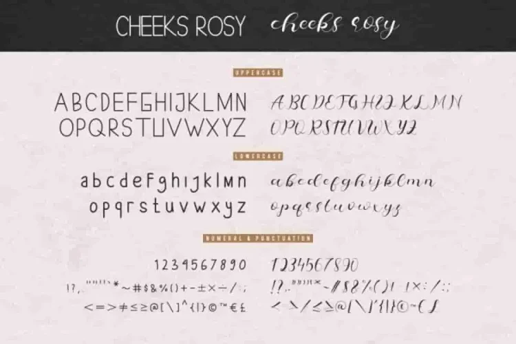 Cheeks Rosy Font Duo Typeface
