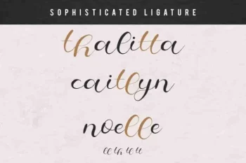 Cheeks Rosy Font Duo Typeface