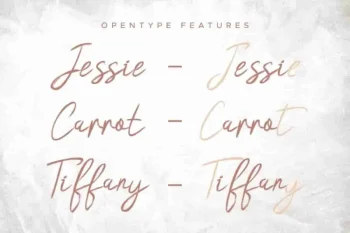 Hasita Hillary Brush Font