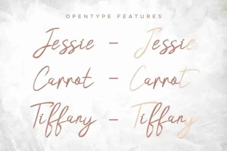Hasita Hillary Brush Font
