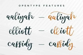 Nhadiem Elans Calligraphy Font