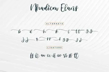 Nhadiem Elans Calligraphy Font