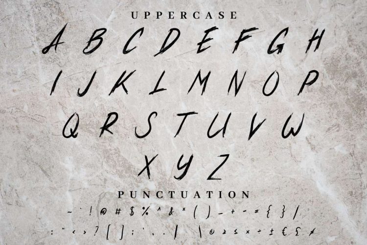 Xander Bruce Brush Font - Image 2