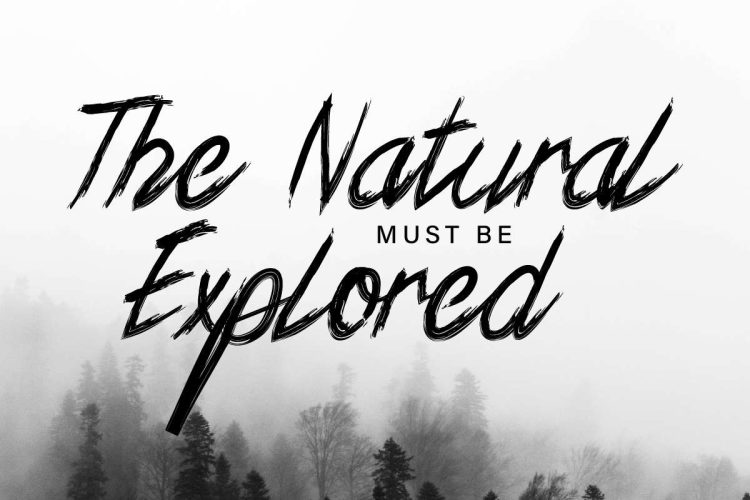 Xander Bruce Brush Font - Image 5