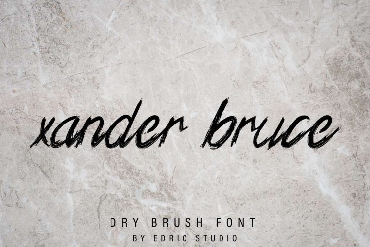 Xander Bruce Brush Font - Image 4