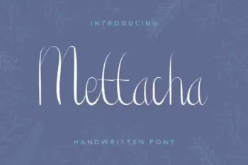 Mettacha