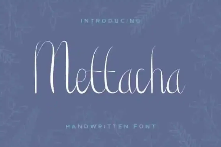 Mettacha
