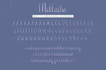 Mettacha