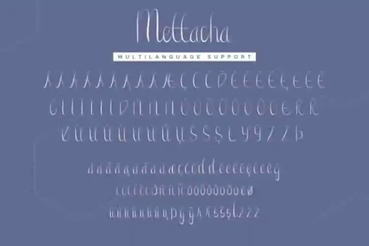Mettacha
