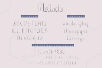 Mettacha
