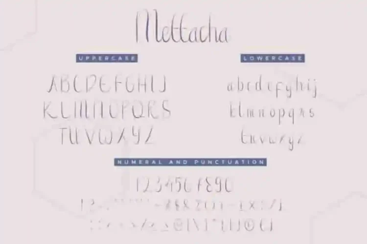 Mettacha