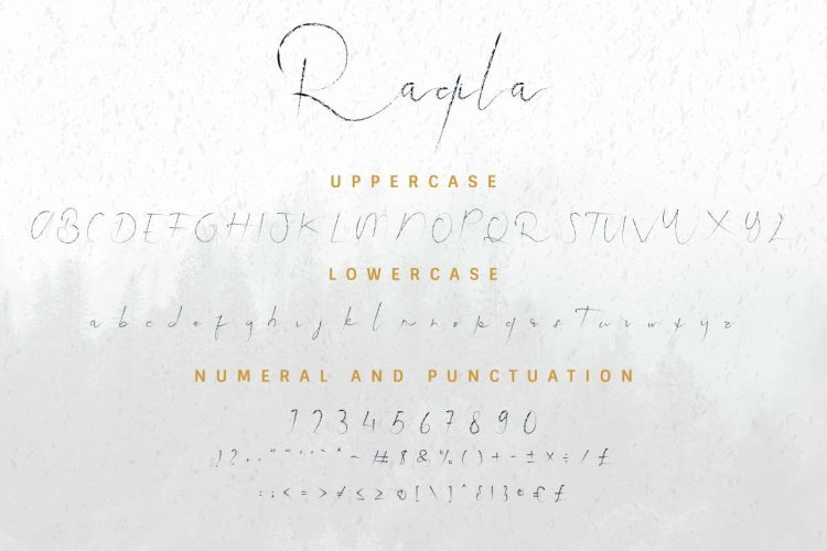 Raqila Rough Brush Signature - Image 3