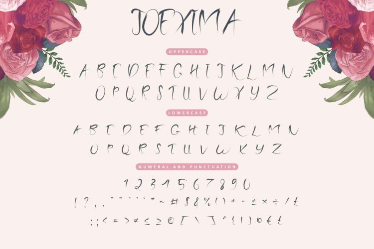 Joexima Brush Font - Image 4