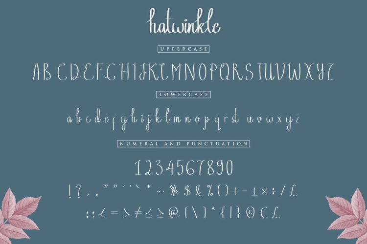 Hatwinkle Calligraphy Font - Image 3