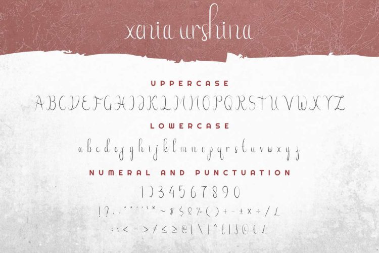 Xenia Urshina Calligraphy Font - Image 3