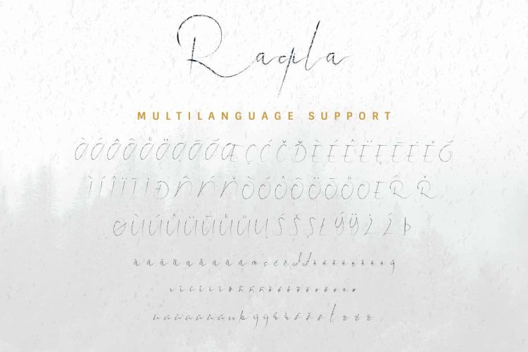 Raqila Rough Brush Signature - Image 2