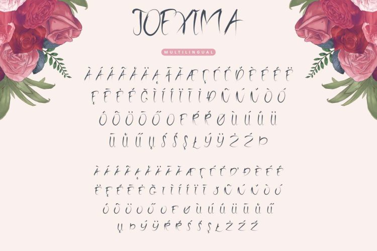 Joexima Brush Font - Image 3