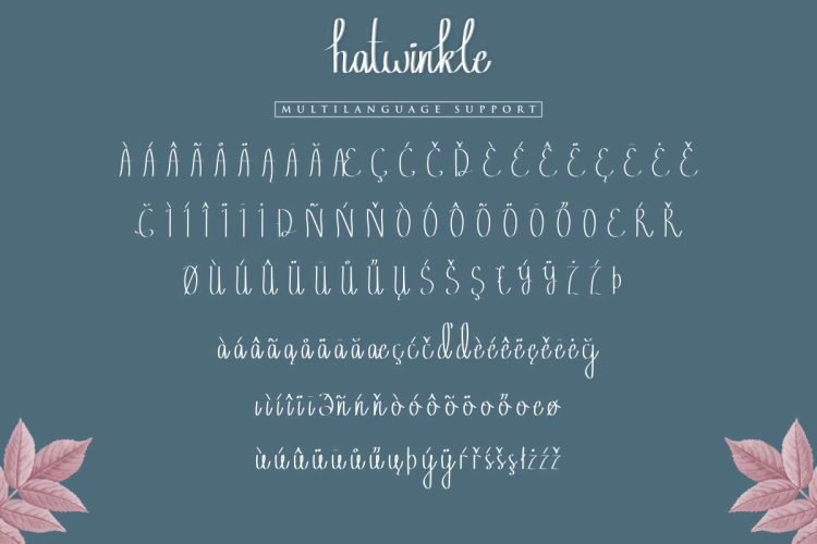 Hatwinkle Calligraphy Font - Image 2