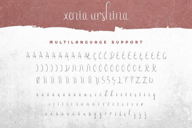 Xenia Urshina Calligraphy Font - Image 2