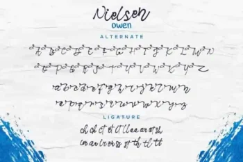 Nielsen Owen