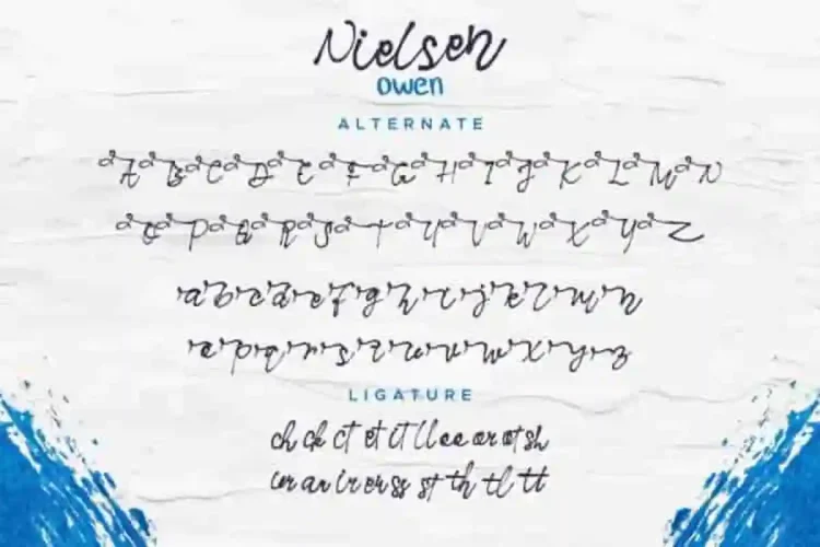Nielsen Owen