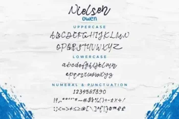 Nielsen Owen