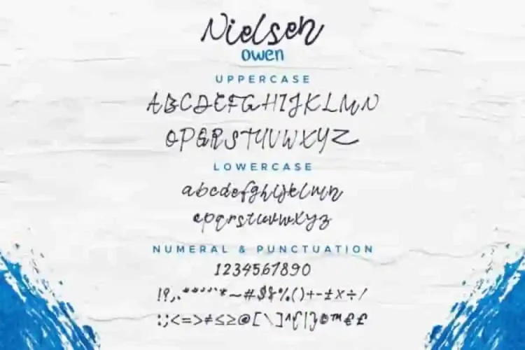Nielsen Owen