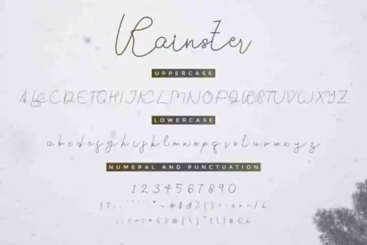 Rainster