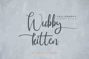 Wubby Kitten