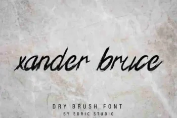 Xander Bruce