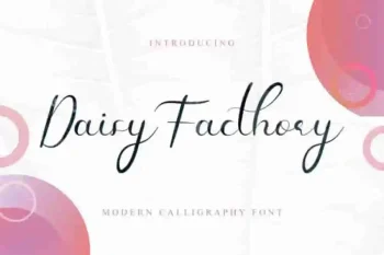 Daisy Facthory