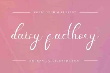 Daisy Facthory