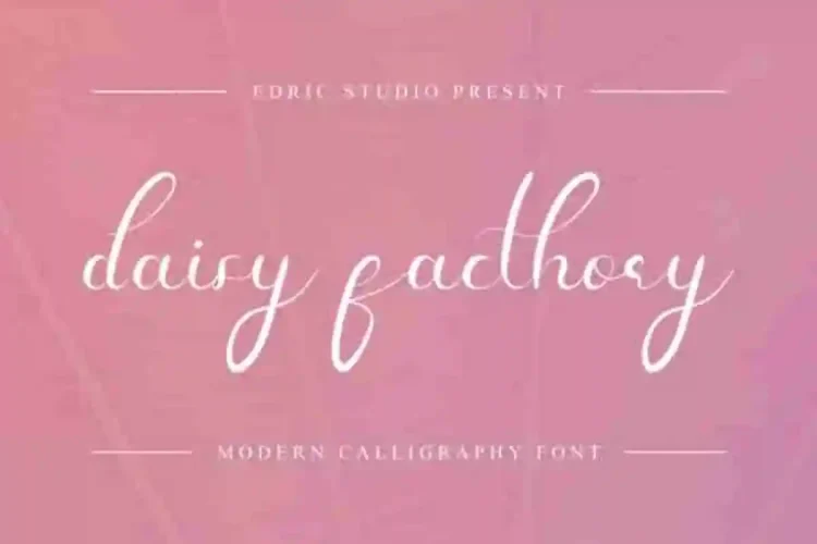 Daisy Facthory