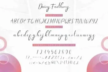 Daisy Facthory