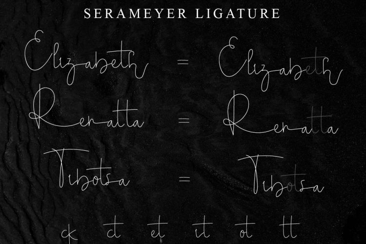 Serameyer Handwriting Font - Image 4