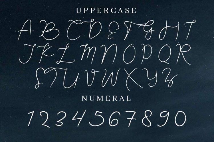 Sevastyan Signature Font - Image 2