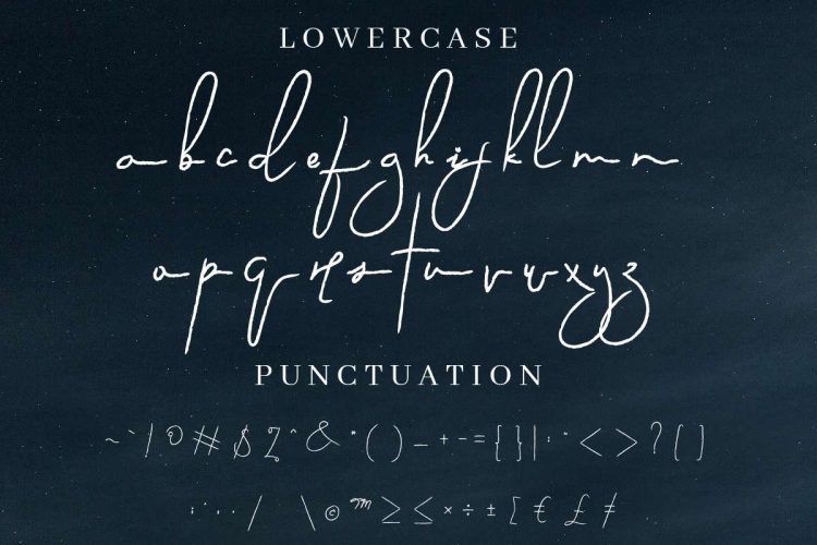 Sevastyan Signature Font - Image 3