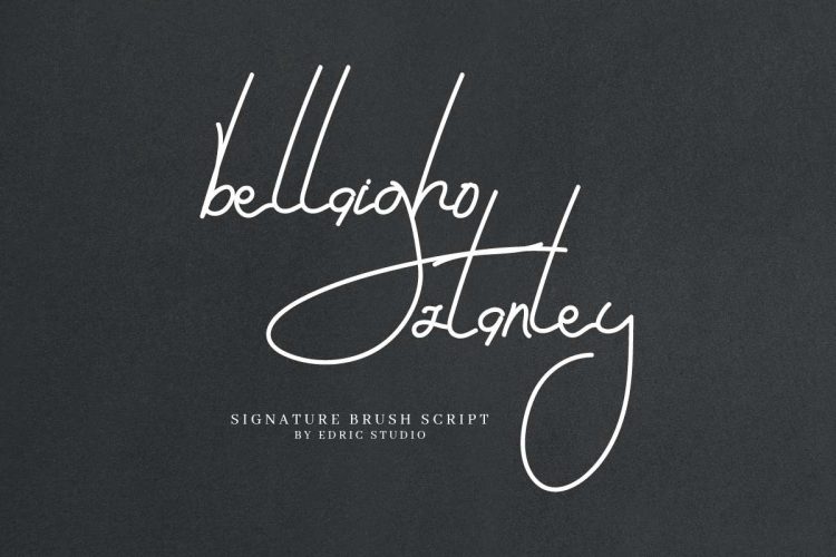 Bellaigho Stanley Signature Brush Script Font - Image 6