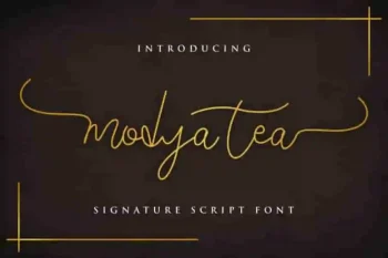 Modya Tea