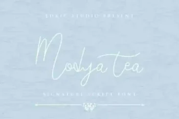 Modya Tea