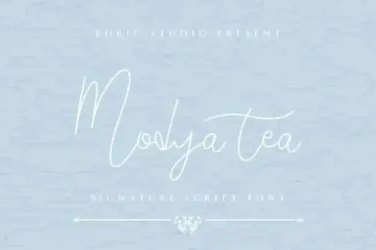 Modya Tea
