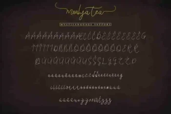 Modya Tea