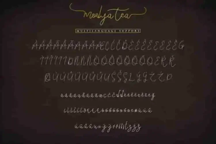 Modya Tea