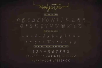 Modya Tea