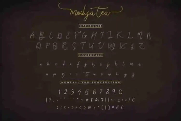 Modya Tea