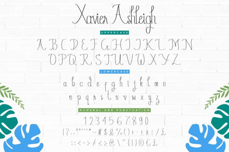 Xavier Ashleigh Calligraphy Font - Image 2